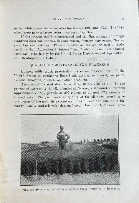 (Montana) Clyde McKee. Flax in Montana