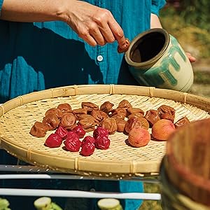 The Japanese Art of Pickling and Fermenting: Preserving vegetables and family traditions (Yoko Nakazawa)