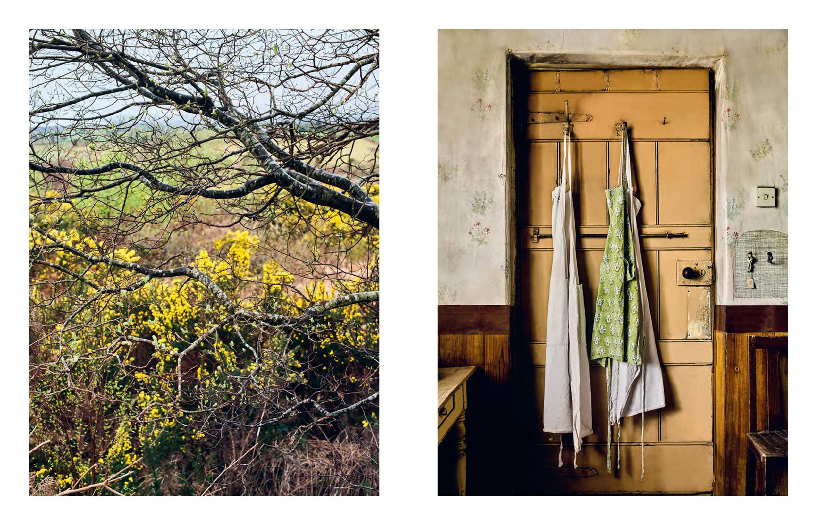 *Pre-order* The Irish Kitchen (Cherie Denham, Andrew Montgomery)