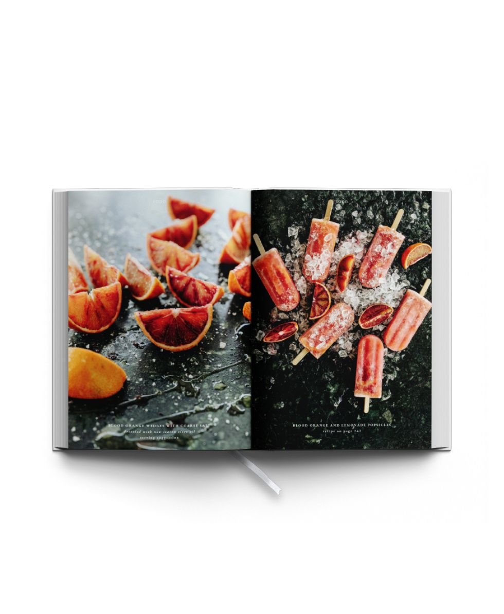 JAN the Journal Volume 15: The Pleasure Principle