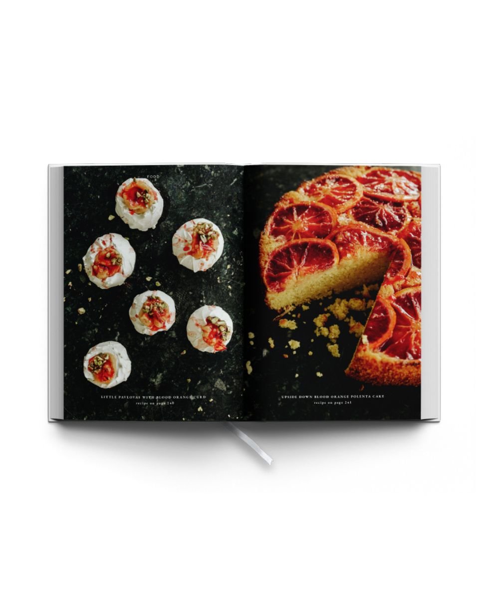 JAN the Journal Volume 15: The Pleasure Principle