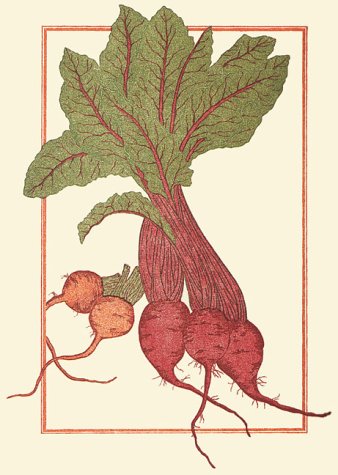 (*NEW ARRIVAL*) (Chez Panisse) Alice Waters. Chez Panisse Vegetables. *Signed*