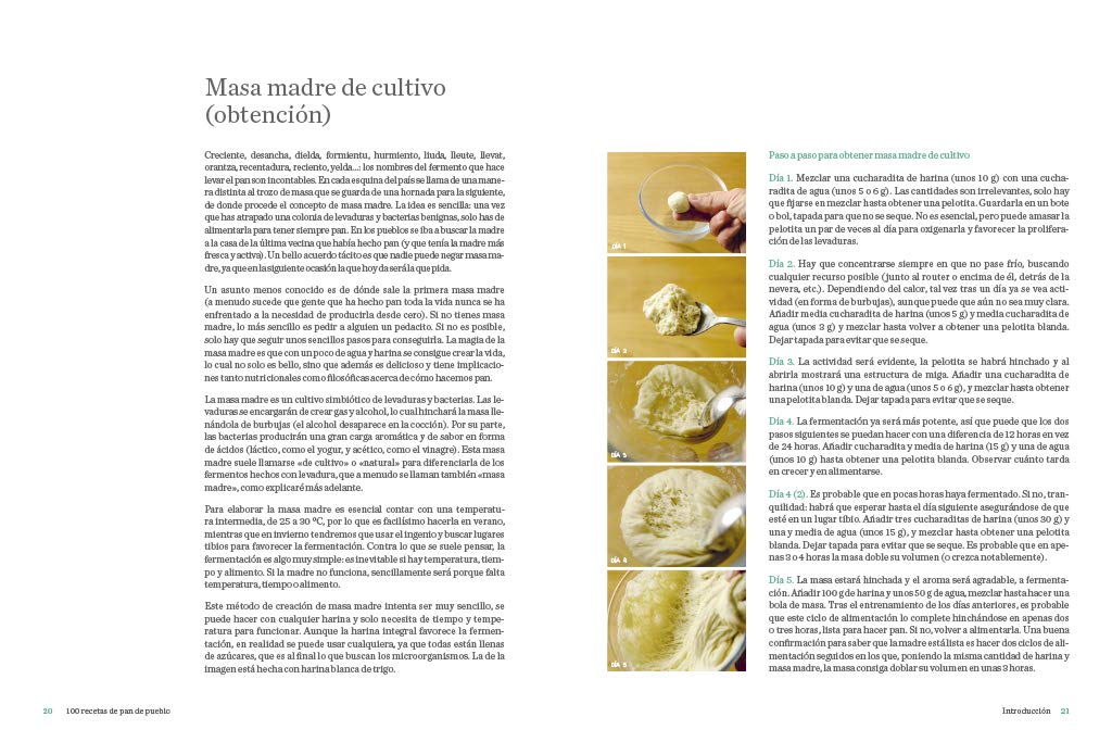 100 recetas de pan de pueblo: Ideas y trucos para hacer en casa panes de toda España (Iban Yarza)