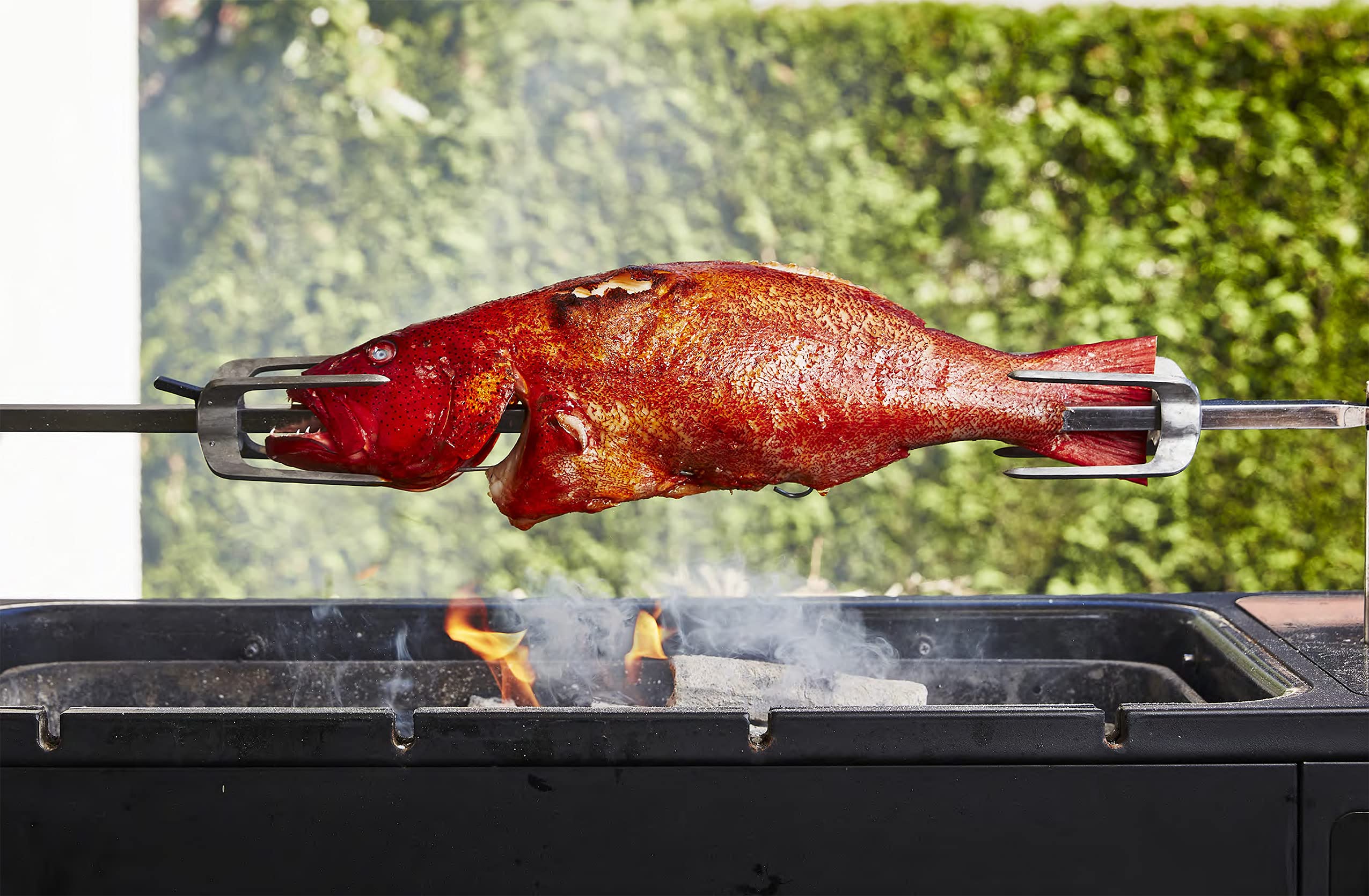 Take One Fish: The New School of Scale-to-Tail Cooking and Eating (Josh Niland)
