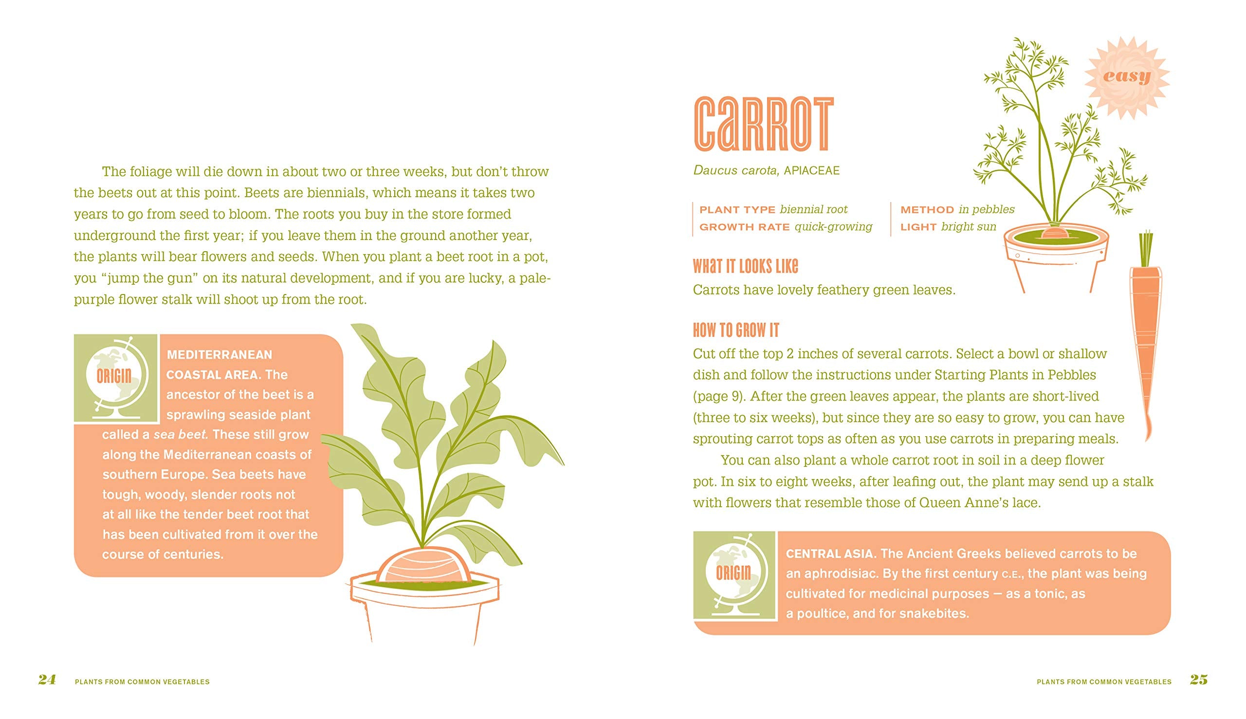 Don't Throw It, Grow It!: 68 Windowsill Plants from Kitchen Scraps (Deborah Peterson, Millicent Selsam)