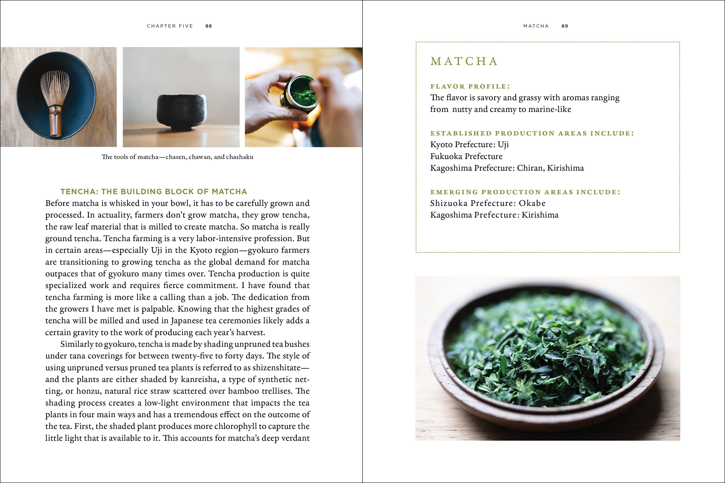 Stories of Japanese Tea: The Regions, the Growers, and the Craft (Zach Mangan)
