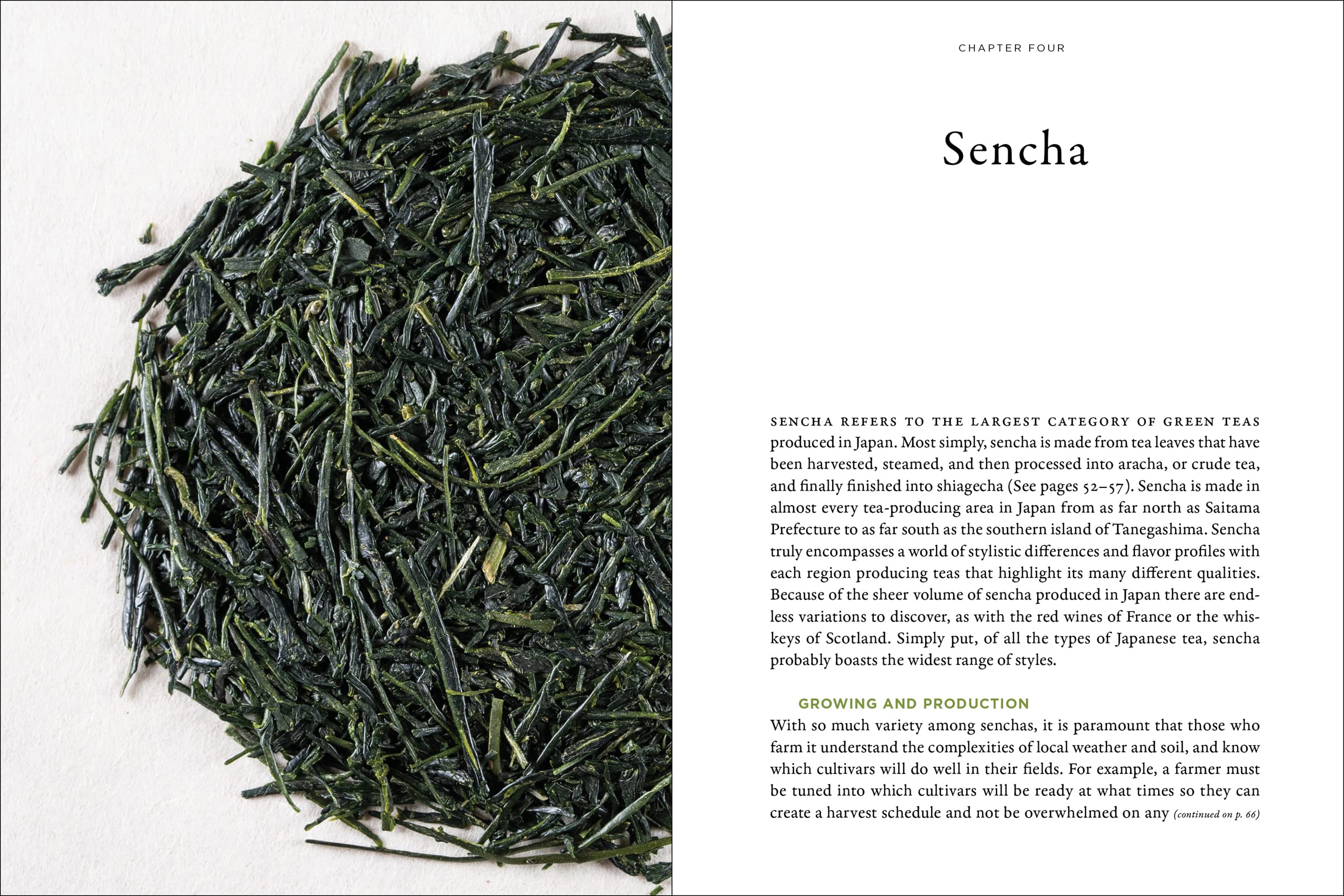 Stories of Japanese Tea: The Regions, the Growers, and the Craft (Zach Mangan)