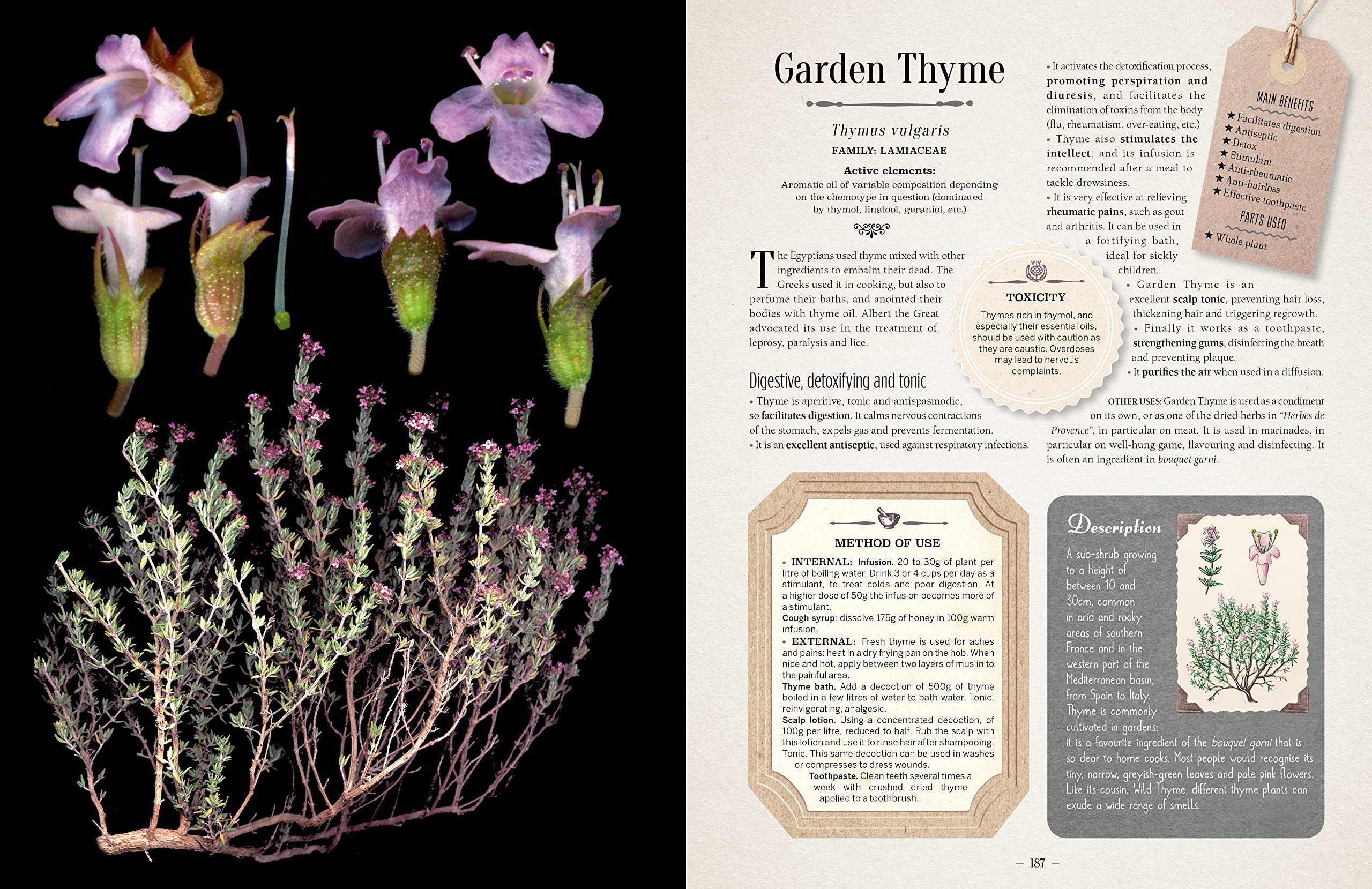 100 Plants that Heal: The illustrated herbarium of medicinal plants (François Couplan, Gérard Debuigne)
