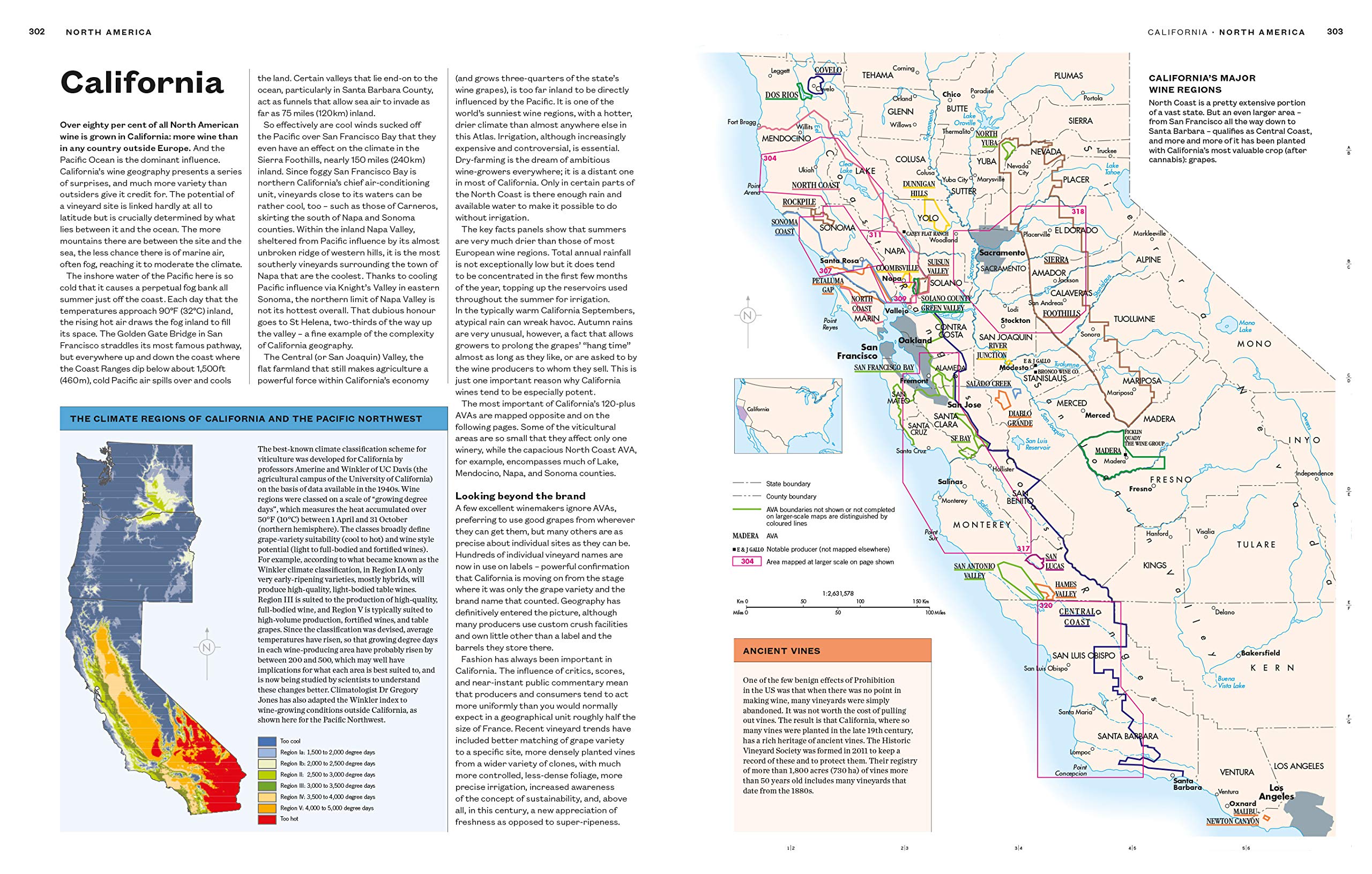 *Damaged* The World Atlas of Wine 8th Edition (Hugh Johnson, Jancis Robinson)