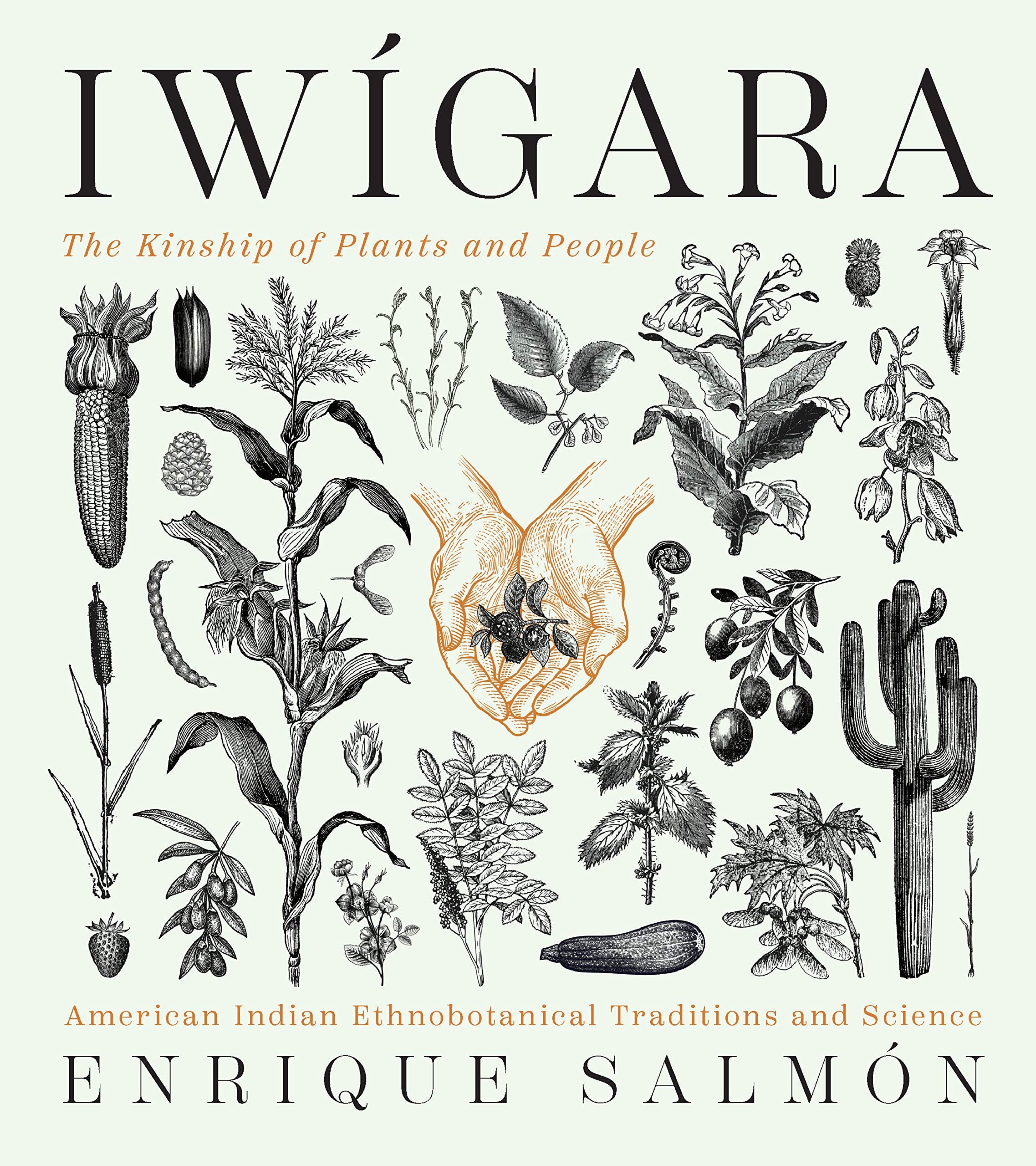 Iwígara: American Indian Ethnobotanical Traditions and Science (Enrique Salmón)