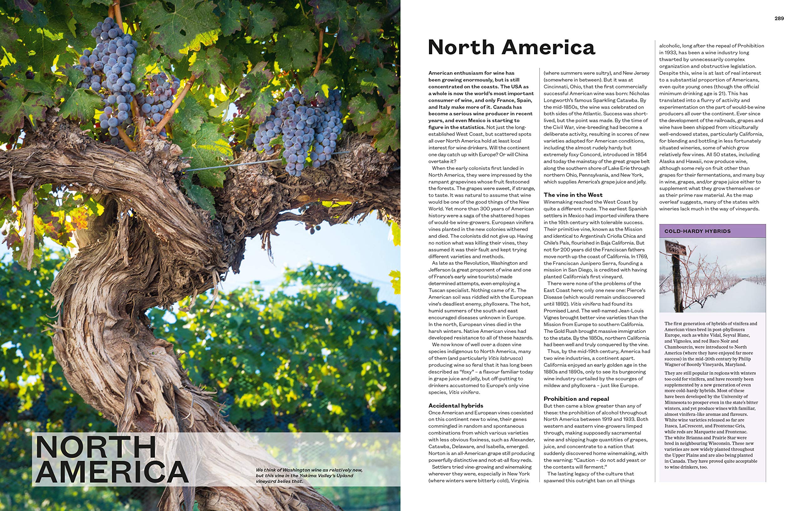 *Damaged* The World Atlas of Wine 8th Edition (Hugh Johnson, Jancis Robinson)