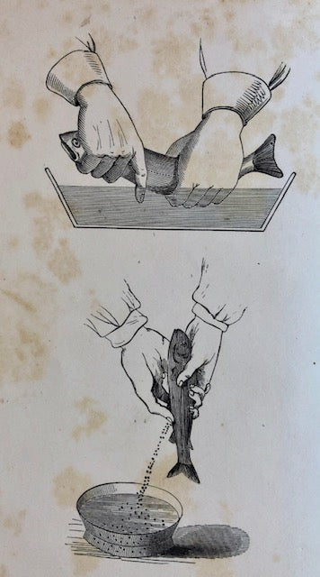 (Seafood) Norris, Thaddeus.  American Fish Culture, embracing all the details of Artificial Breeding and Rearing of Trout; the Culture of Salmon, Shad and Other Fishes.