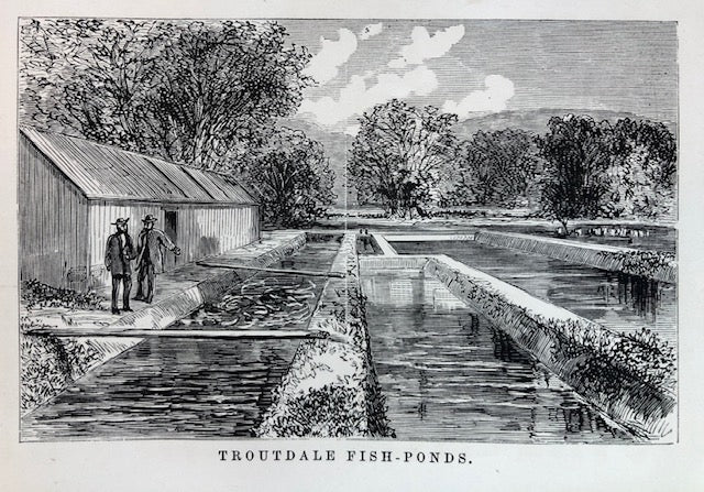 (Seafood) Norris, Thaddeus.  American Fish Culture, embracing all the details of Artificial Breeding and Rearing of Trout; the Culture of Salmon, Shad and Other Fishes.
