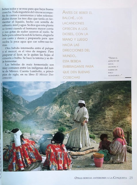 (Mexican) Bebidas Nacionales; Edicion Especial No. 18.