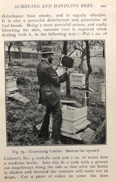 (Beekeeping) Cowan, T.W.  British Bee-Keeper's Guide Book to the Management of Bees in Movable-comb Hives, and the Use of Modern Bee-Appliances.