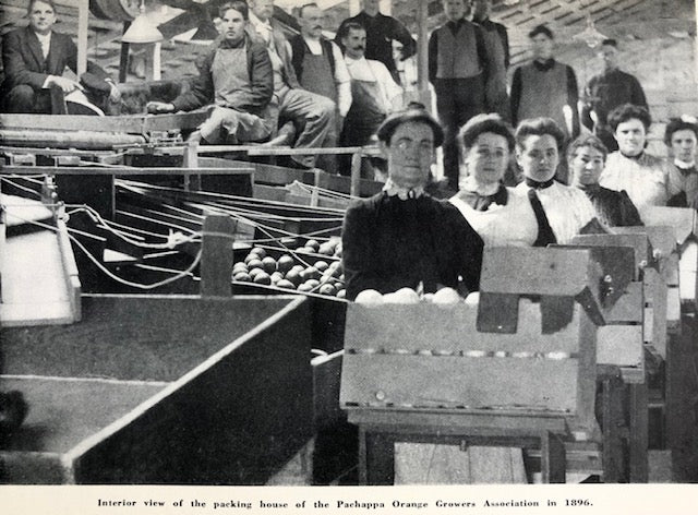 (California) Rahno Mabel MacCurdy. The History of the California Fruit Growers Exchange.