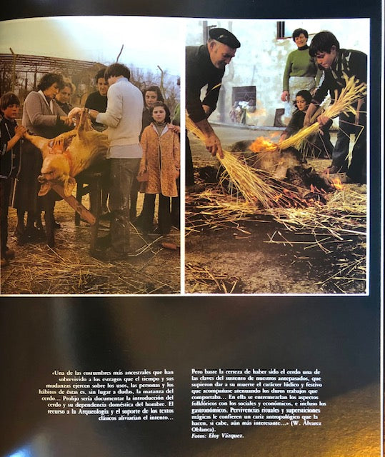 (Spanish) Jimenez Lozano, Jose and others. Libro del Gastronomia de Castilla y Leon.
