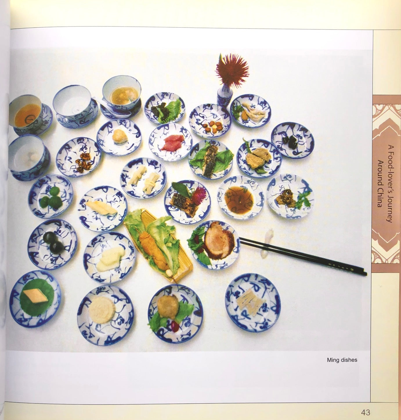 (Chinese) Di Xianghua. A Food-Lover's Journey Around China.