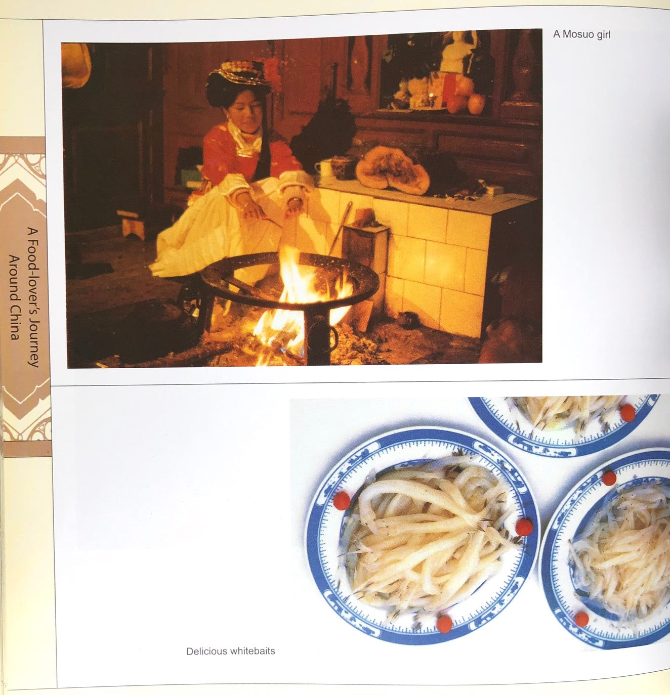 (Chinese) Di Xianghua. A Food-Lover's Journey Around China.