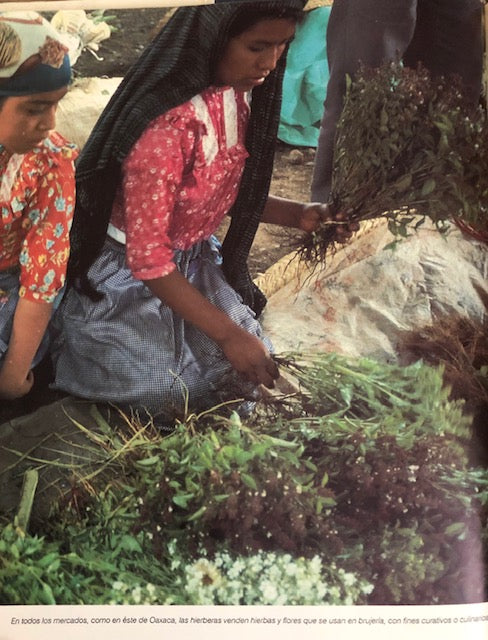 (Mexican) De’Angeli, Alicia Gironella & Jorge De’Angeli. Epazote y Molcajete: Productos y Tecnicas de la Cocina Mexicana.