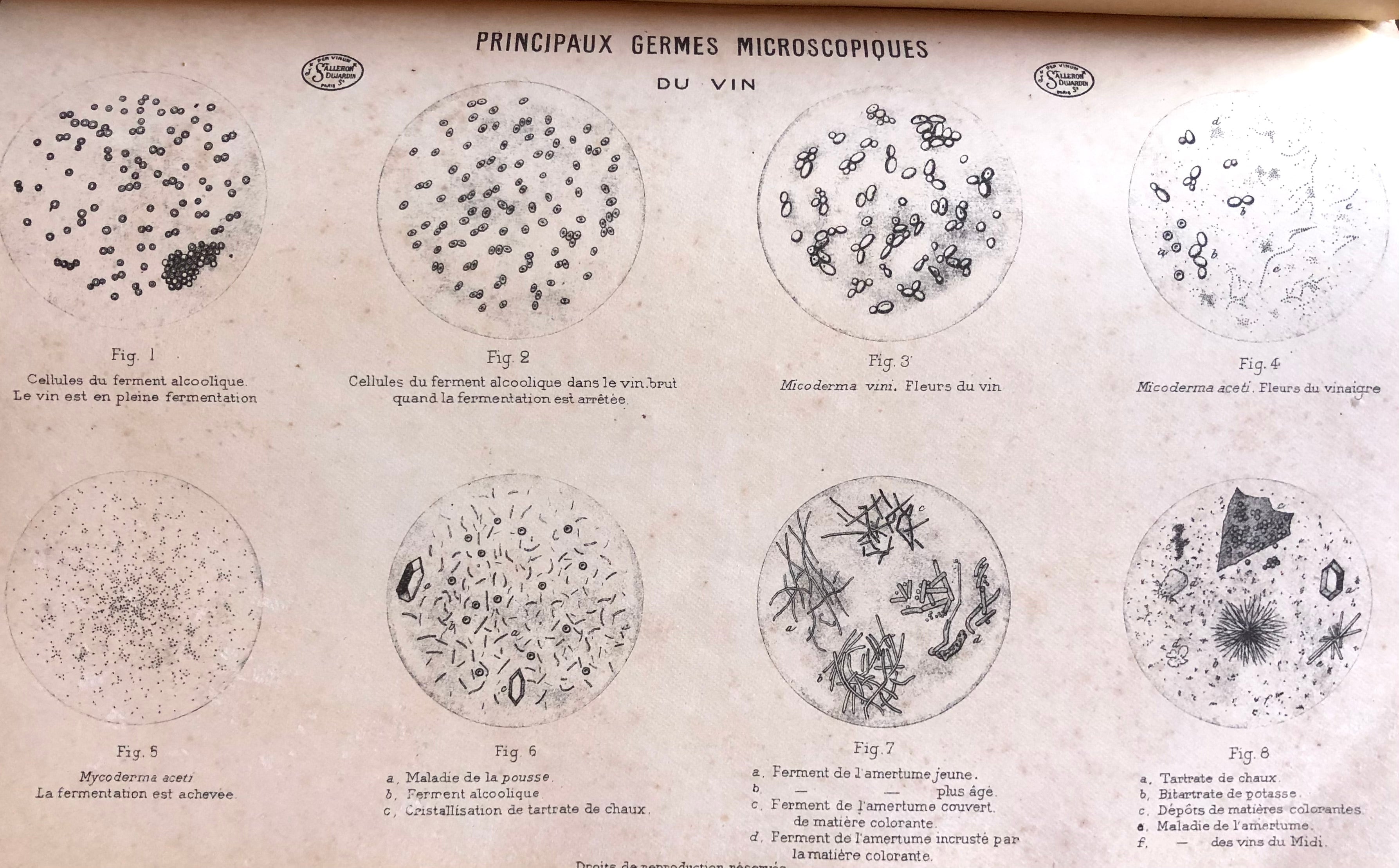 (Winemaking & Distilling) J. Dujardin & Jules Salleron. Notice sur les Instruments de Precision appliques a l'Oenologie.