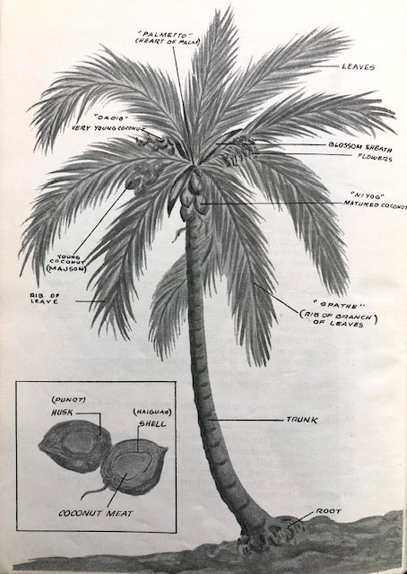 (Guam) Alice Maxwell.  Recipes of Guam: The Fandango, The Fiesta, The Coconut Tree.