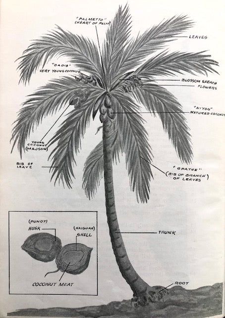 (Guam) Alice Maxwell. Recipes of Guam: The Fandango, The Fiesta, The Coconut Tree