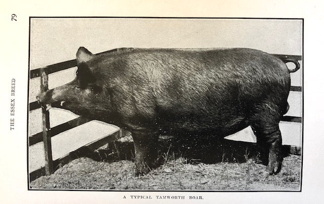 (Butchery) Dawson, H.C.  The Hog Book, Embodying the experience of Fifty Years in the Practical Handling of Swine in the American Cornbelt.