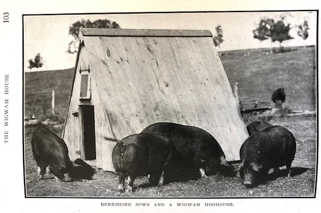 (Butchery) Dawson, H.C.  The Hog Book, Embodying the experience of Fifty Years in the Practical Handling of Swine in the American Cornbelt.
