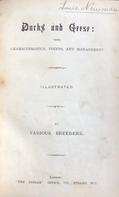 (Waterfowl) Various Breeders.  Ducks and Geese: Their Characteristics, Points, and Management. 