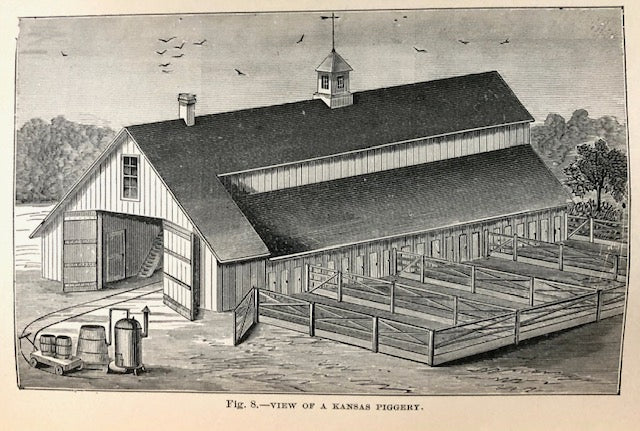 (Pigs) Coburn, F.D. Swine Husbandry: A Practical Manual for the Breeding, Rearing and Management of Swine.