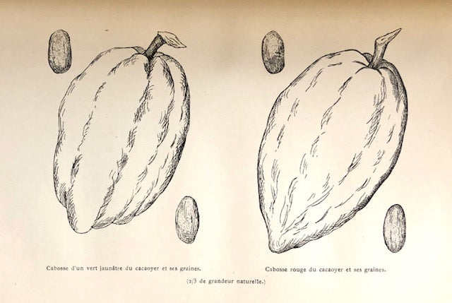 (Chocolate) Oliviéri, F.-Emmanuel. Le Cacaoyer: Plantation, Culture, et Preparation du Cacao - Manuel Pratique du Planteur. 