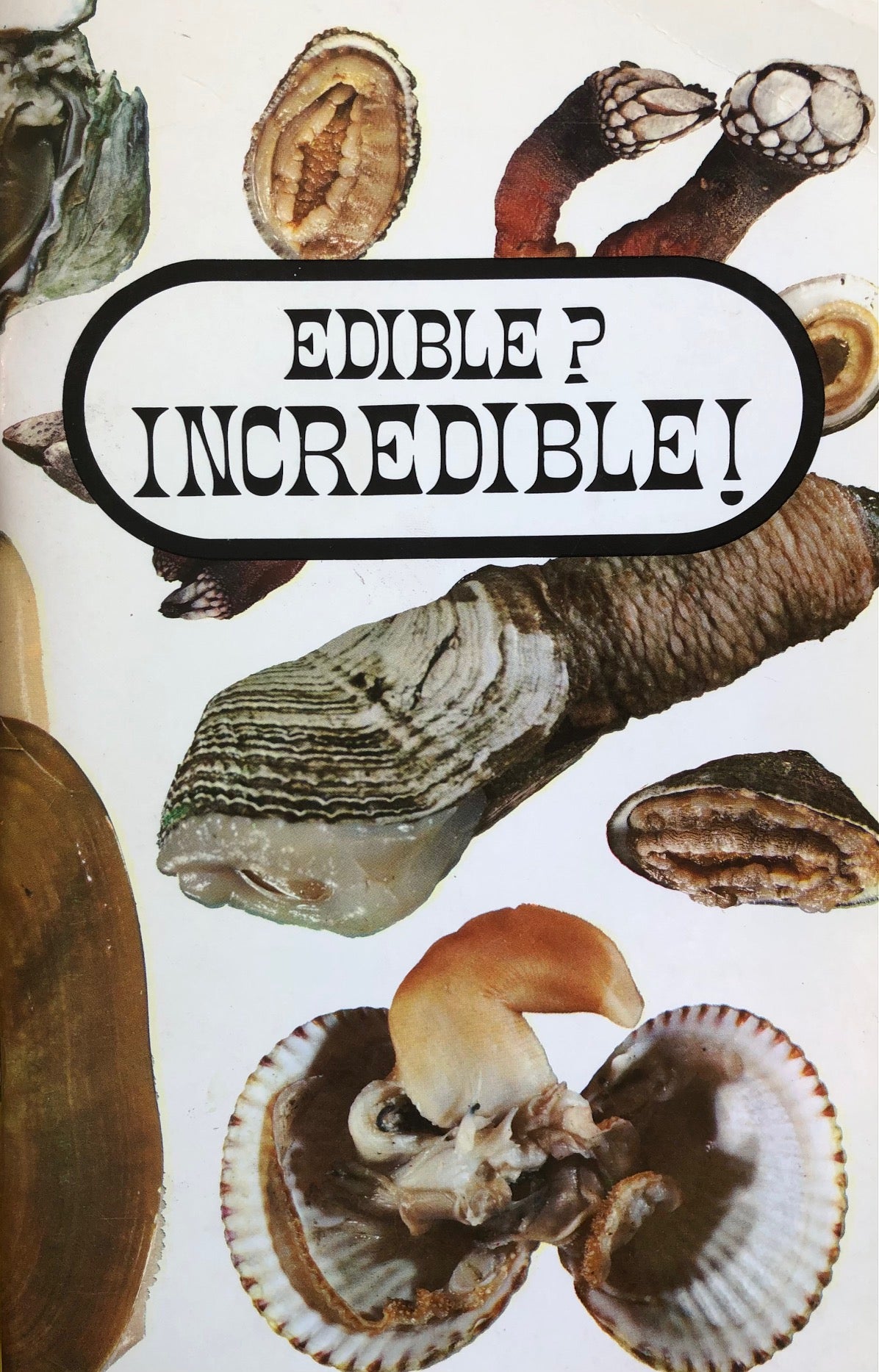 (*NEW ARRIVAL*) (Sea Foraging) Marjorie Furlong & Virginia Pill. Edible? Incredible!