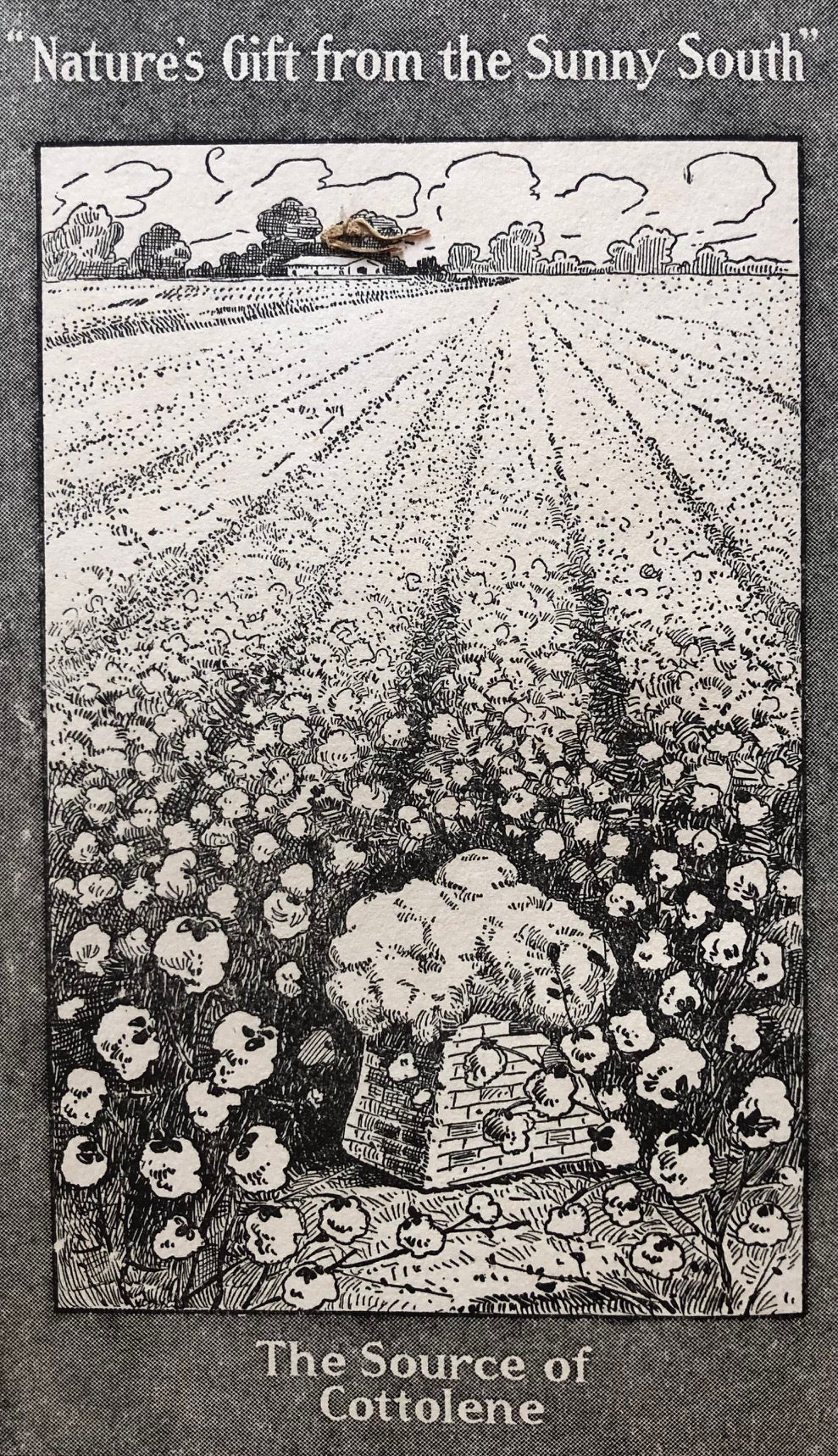 (American) Home Helps: A Pure Food Cook Book. Recipes by Mary J. Lincoln, Sarah T. Rorer, Helen Armstrong, Lida Willis & Marion Harland.