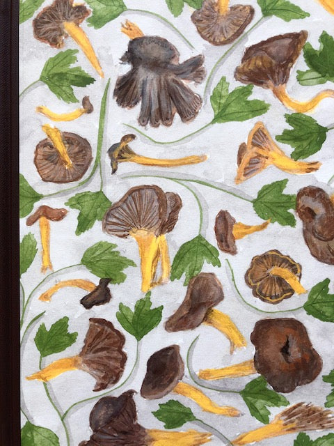 (*NEW ARRIVAL*) (Food Writing) Elizabeth David. French Provincial Cooking
