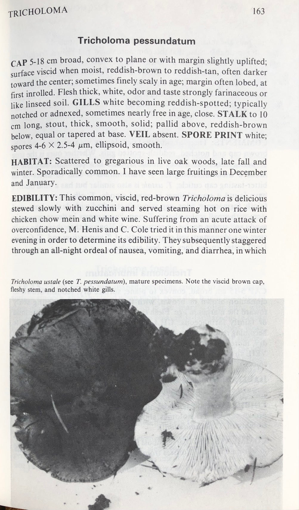 (Mushrooms) David Arora. Mushrooms Demystified A Comprehensive Guide