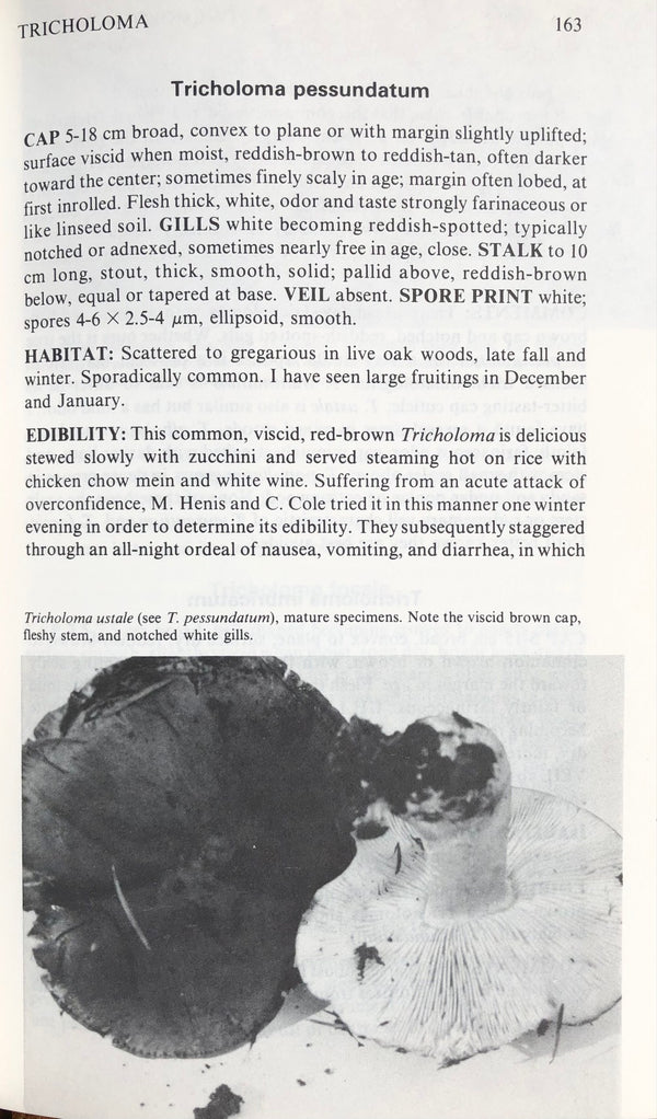 (Mushrooms) David Aurora. Mushrooms Demystified A Comprehensive Guide