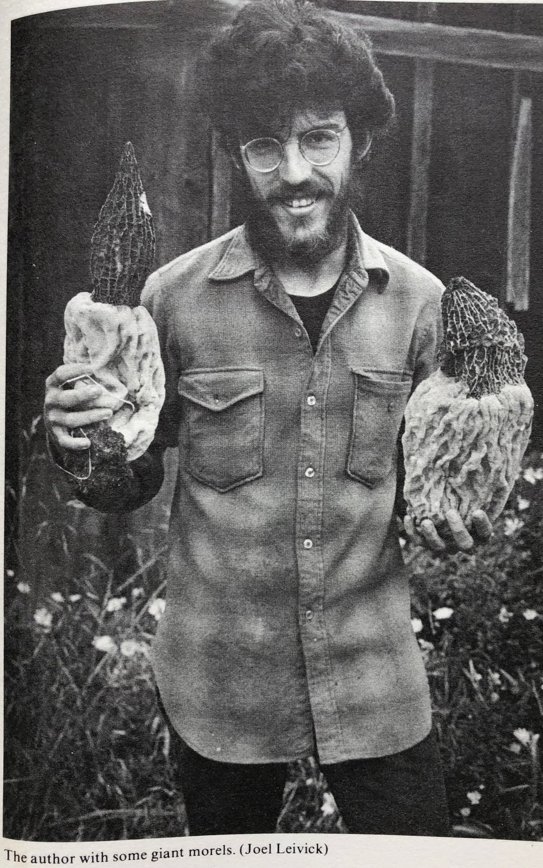 (Mushrooms) David Arora. Mushrooms Demystified: A Comprehensive Guide to the Fleshy Fungi of the California Coast.