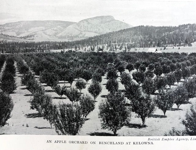 (Canadian) Bealby, J.T.  Fruit Ranching in British Columbia.