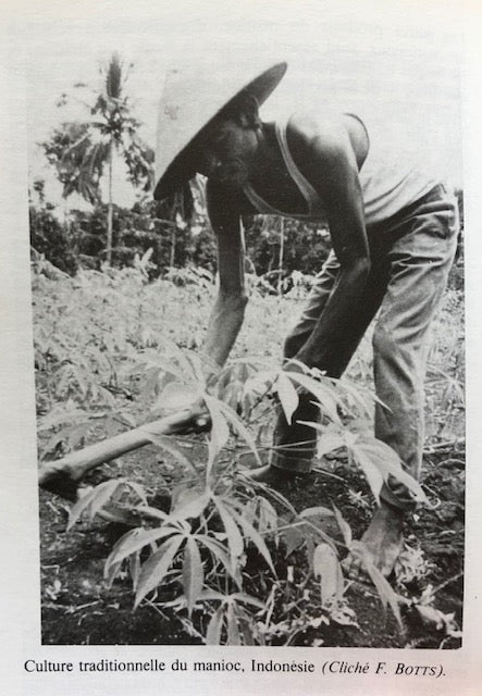 (Breadfruit) Silvestre, Pierre. Manuel Pratique de la Culture du Manioc. 