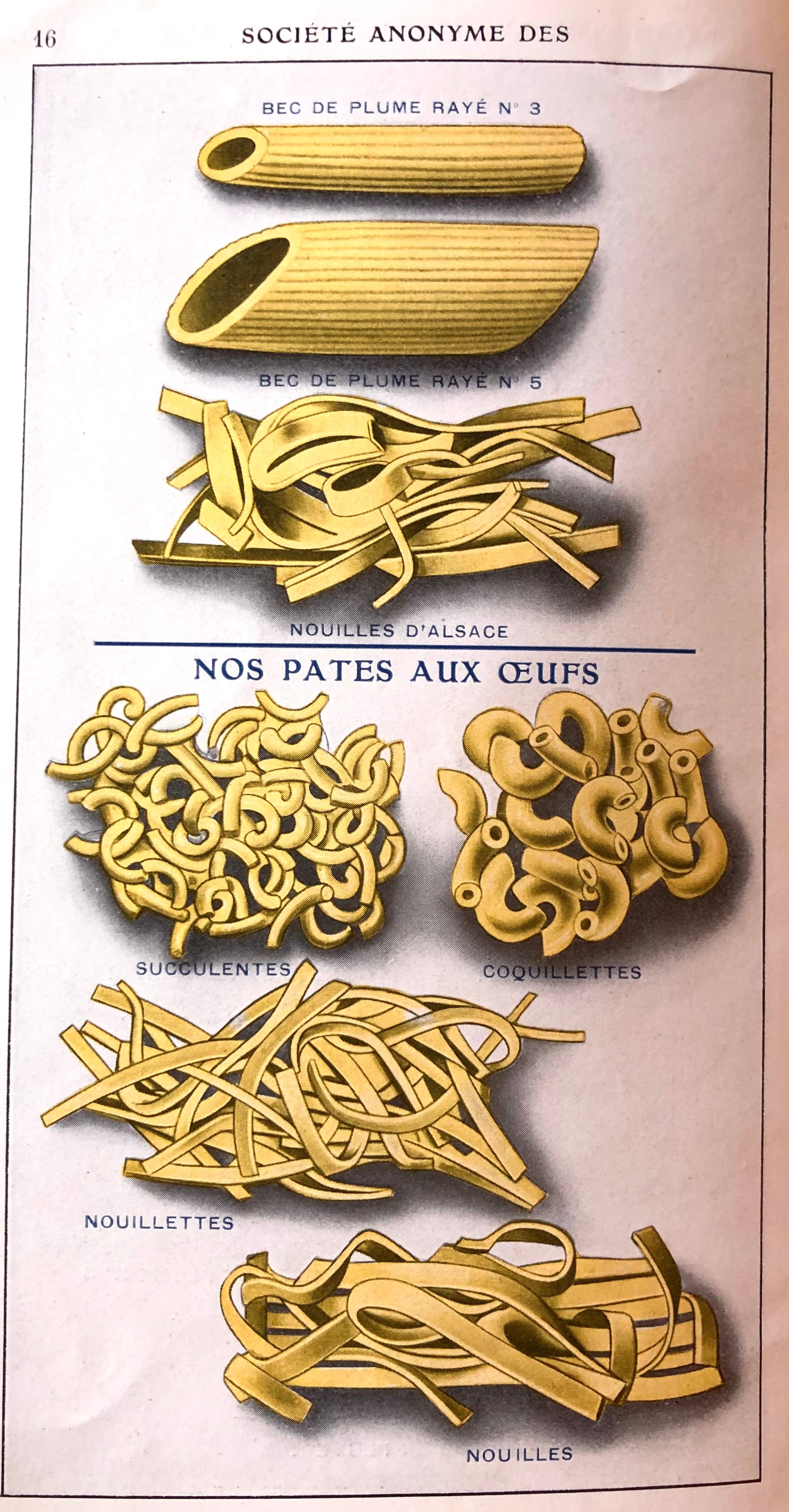 (Pasta) Codou. Societe Anonyme des Pates Alimentaires Codou.