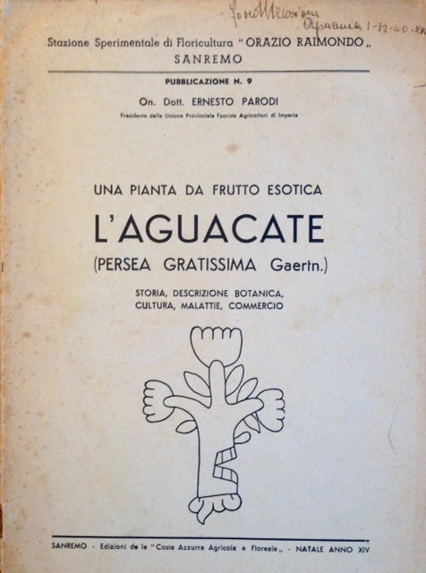 (Avocados) Parodi, Dr. Ernesto. Una Pianta da Frutto Esotica: L'aguacate. Storia, Descrizione Botanica, Cultura, Malattie, Commercio.