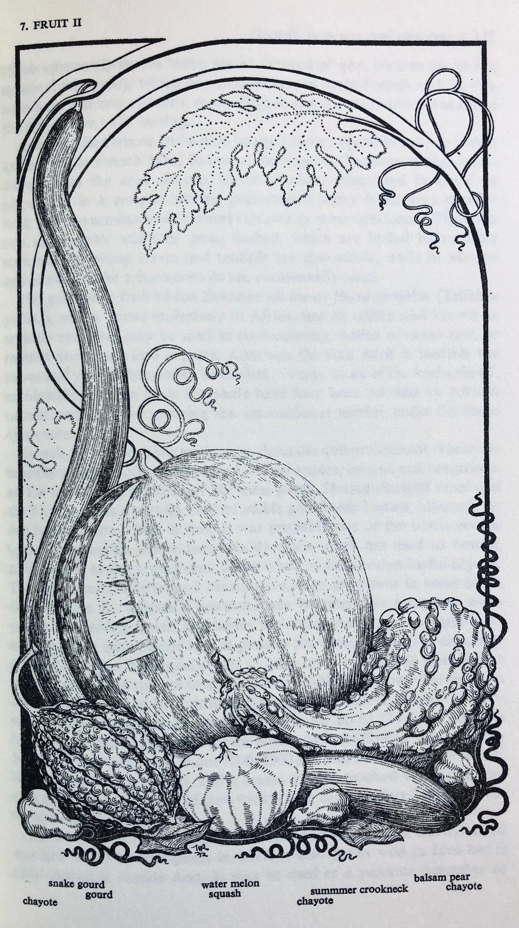 (Food History) Yann Lovelock. The Vegetable Book: An Unnatural History.