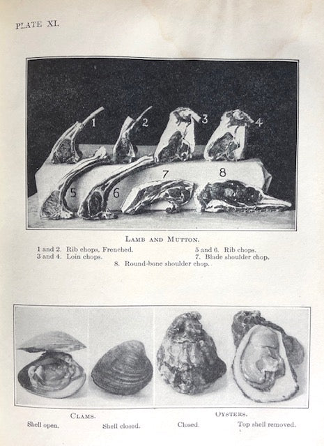 Williams, Mary E. &  Katharine R. Fisher.  Elements of the Theory and Practice of Cookery: A Text-Book of Domestic Science for Use in Schools. 