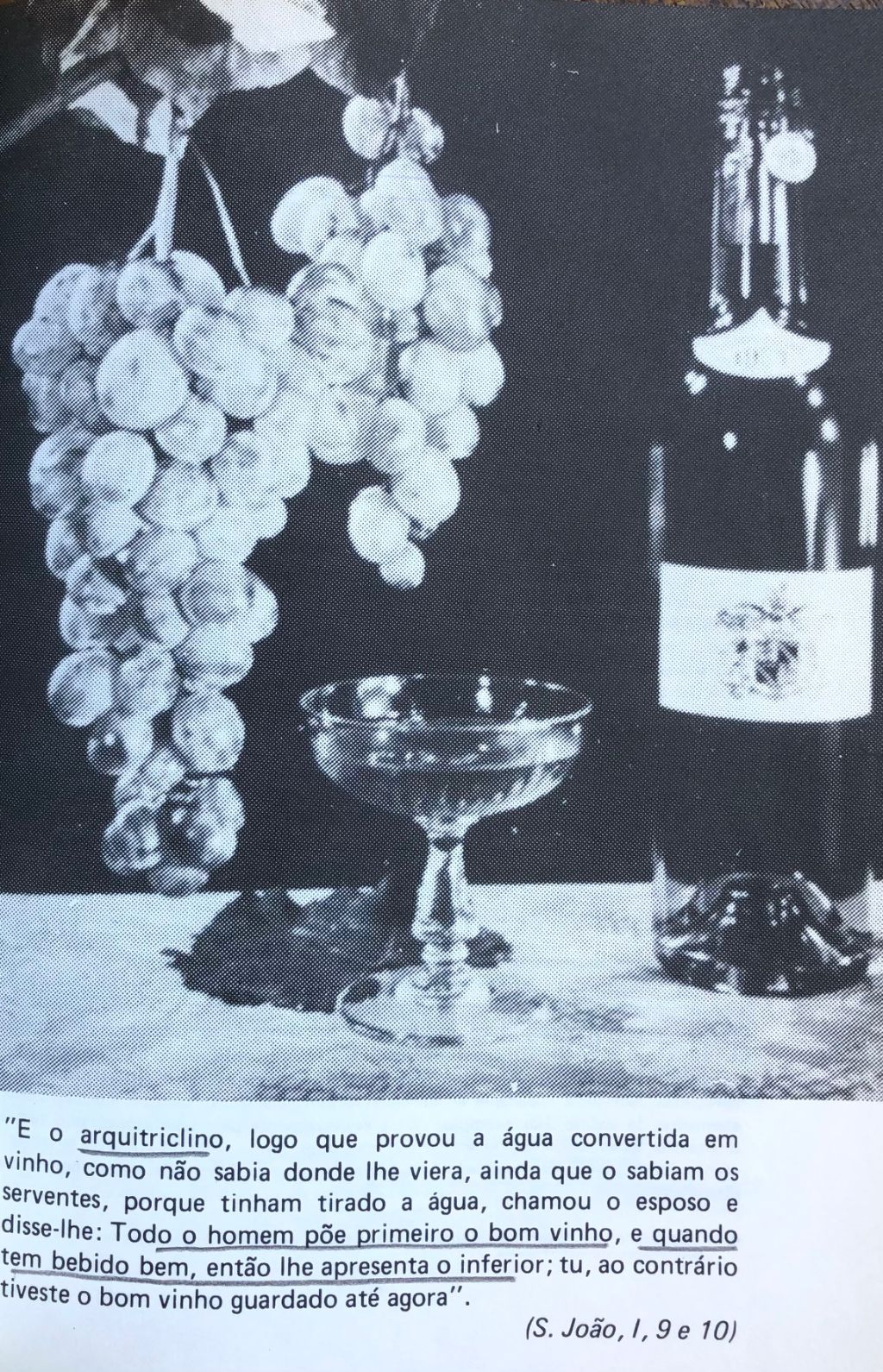 (Portuguese - Wine) Marques Elpidio. O Libro da Garrafeira