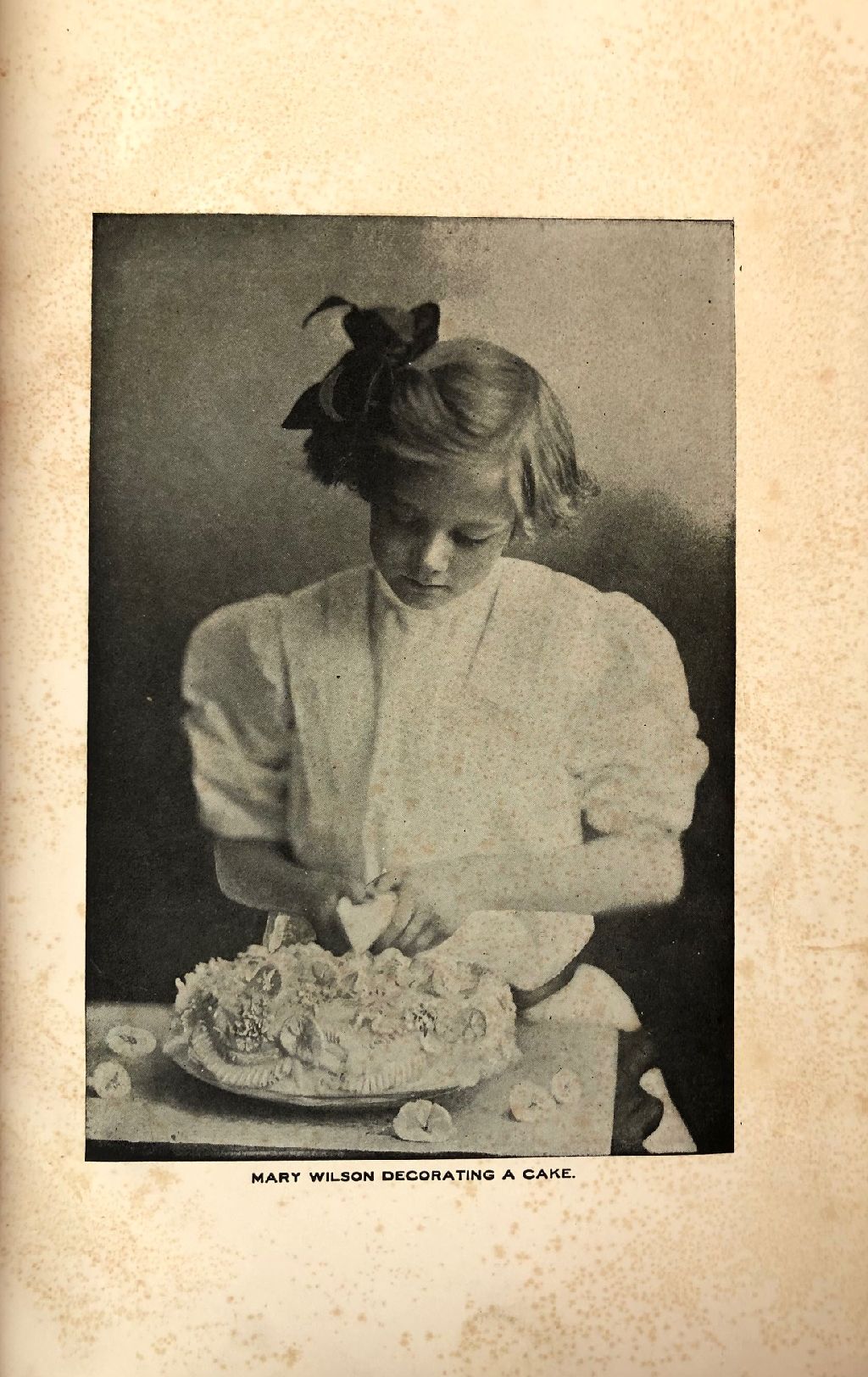 (Southern - Tennessee) Mrs. [Mary Elizabeth] Wilson. Mrs. Wilson's New Cook Book: A Complete Collection of Original Recipes and Useful Household Information.