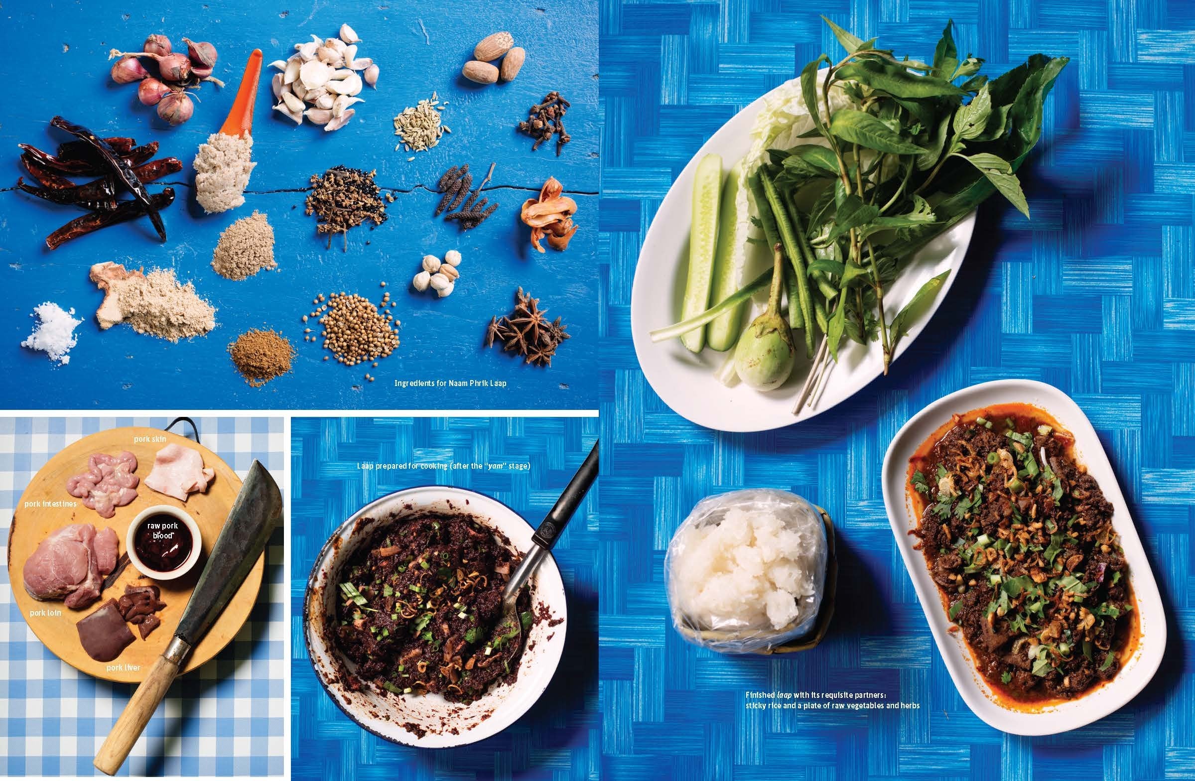 Pok Pok: Food and Stories from the Streets, Homes, and Roadside Restaurants of Thailand (Andy Ricker, JJ Goode)
