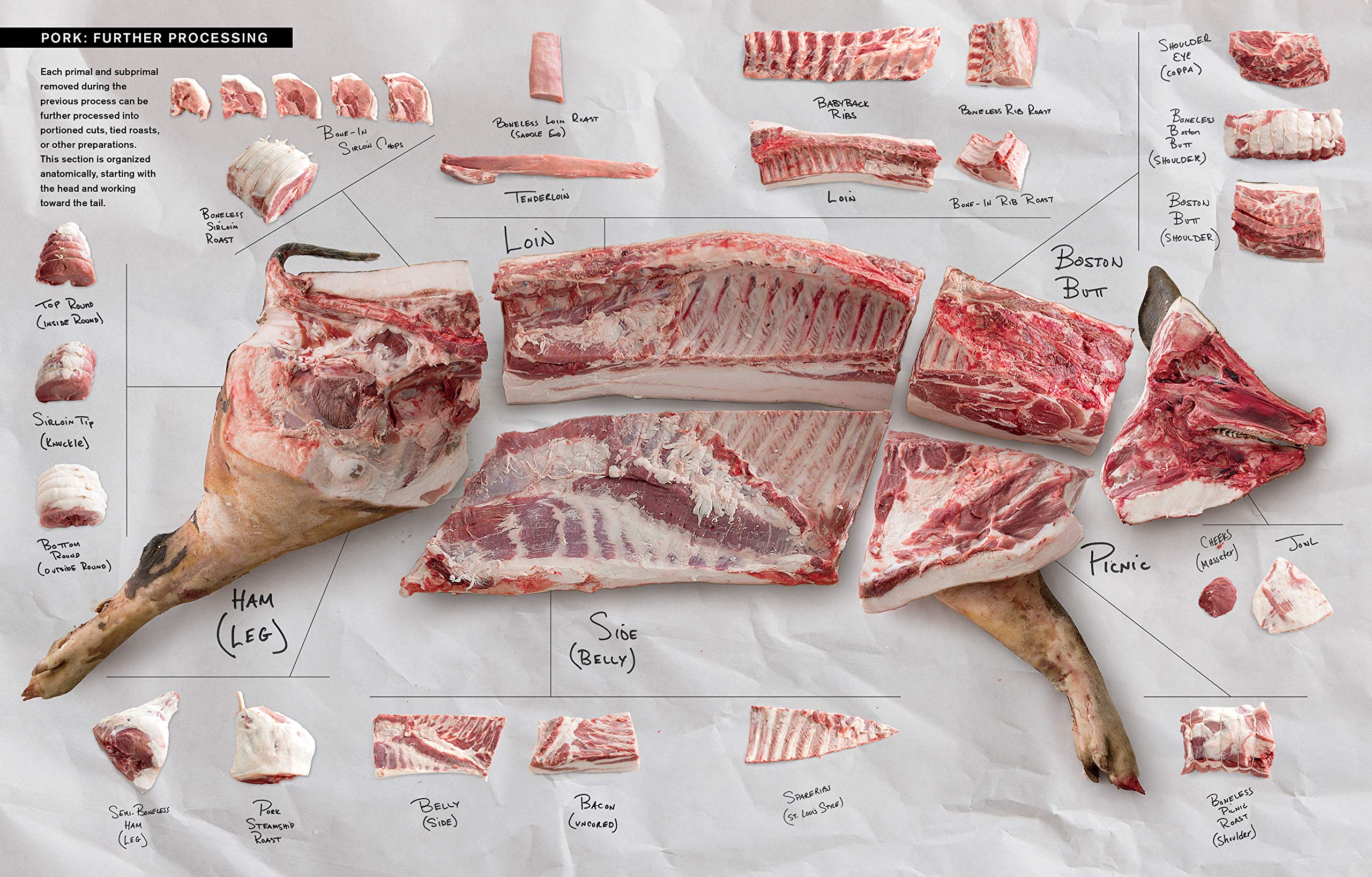 Butchering Poultry, Rabbit, Lamb, Goat, and Pork: The Comprehensive Photographic Guide to Humane Slaughtering and Butchering (Adam Danforth)