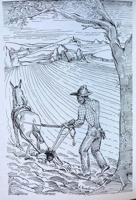 (African-American) McRee, Patsie. The Kitchen and the Cotton Patch.
