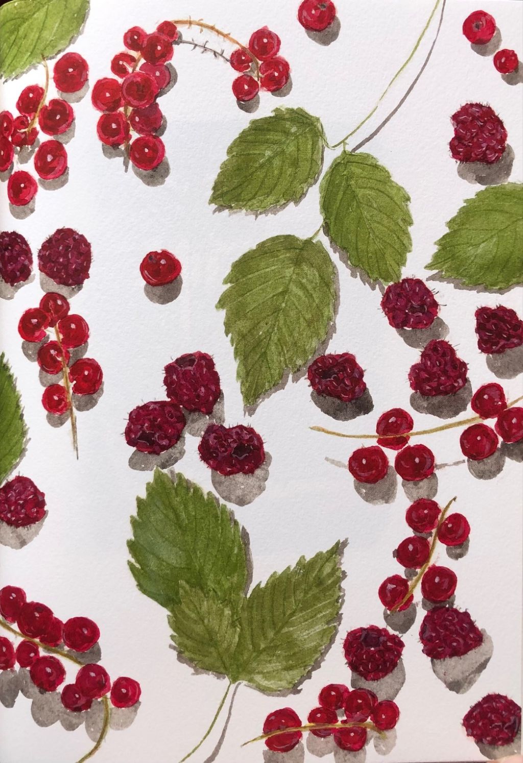 (Food Writing) Elizabeth David. French Country Cooking.